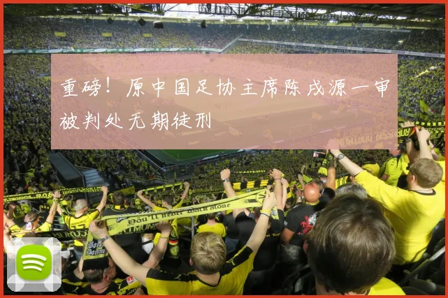重磅！原中国足协主席陈戌源一审被判处无期徒刑